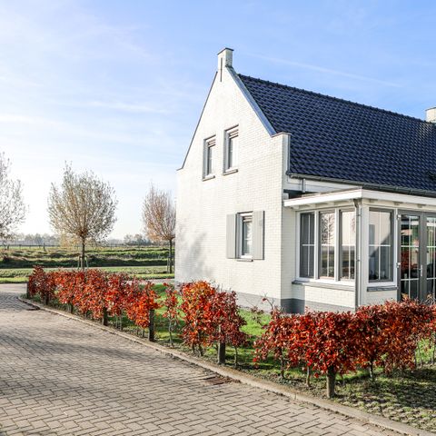 House 8 persons - Location: Wolphaartsdijk - 9