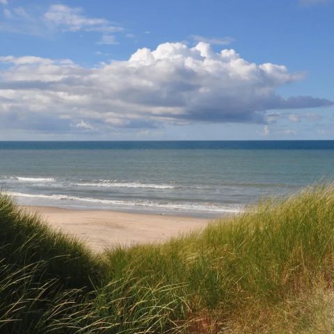 Vodatent Tornby Strand Camping - North Jutland - Image N°3