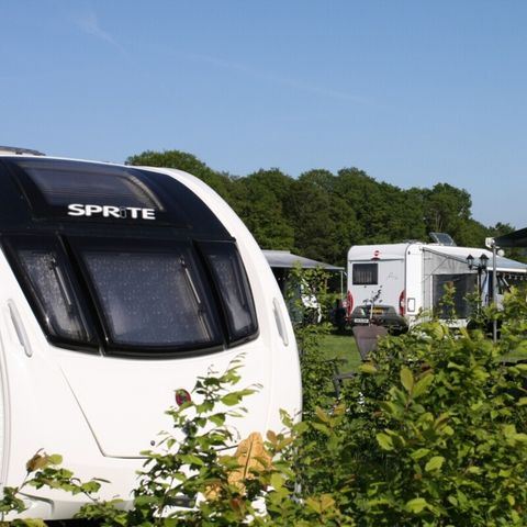 Vodatent Boerderijcamping het Katreel - Haaksbergen - Image N°3
