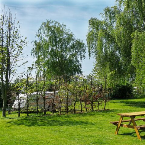 Vodatent Camping de Boerenzwaluw - Hollands Kroon - Image N°4