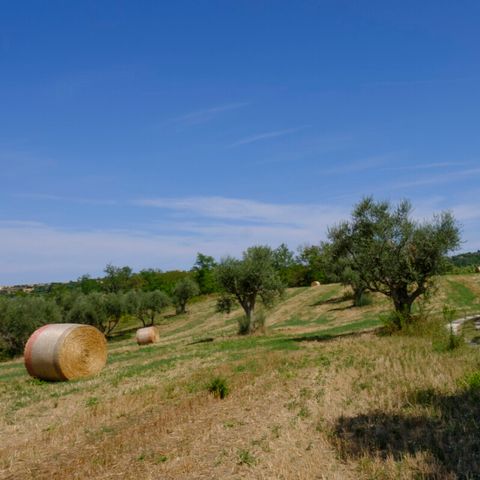 Vodatent Camping Mar y Sierra - Pesaro-Urbino - Image N°3