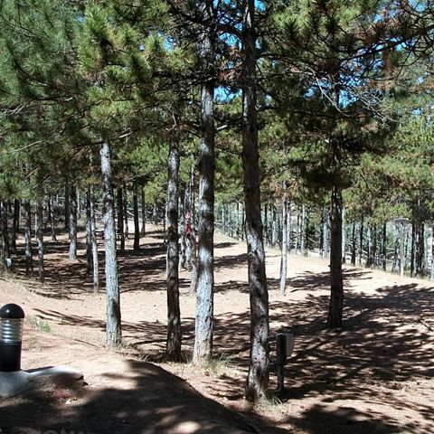 Camping Las Cabanas - Teruel  - Image N°5