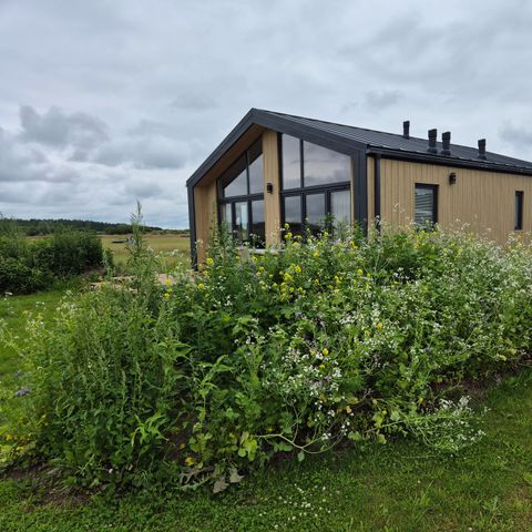 Bungalow 4 persons - The Dommel