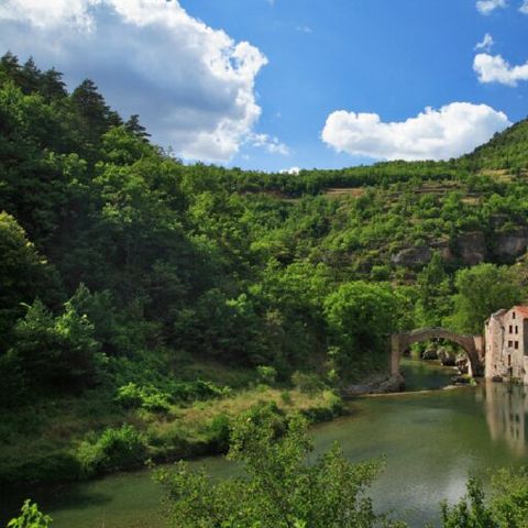 Camping la Claparède - Aveyron - Image N°6