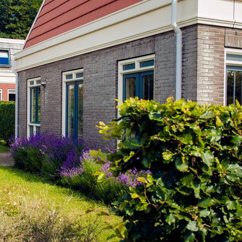 Bungalowparck Tulp & Zee - Noordwijk - Image N°2