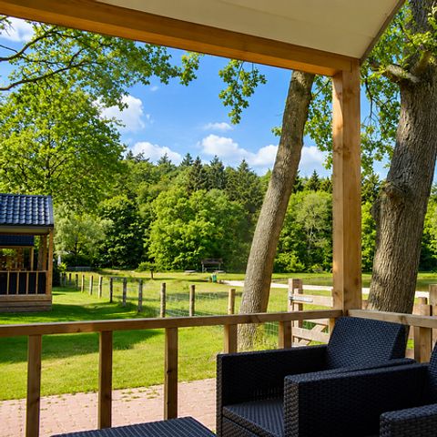 Camping 't Veld - Hardenberg - Image N°5