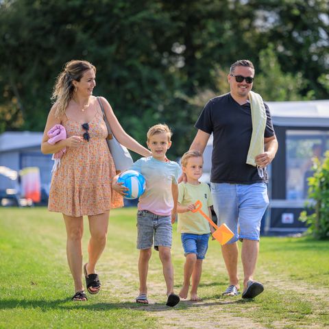 Camping Ginsterveld - Schouwen-Duiveland - Image N°5