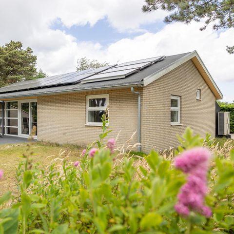 Bungalow 4 persons - Spacious Eco with sauna