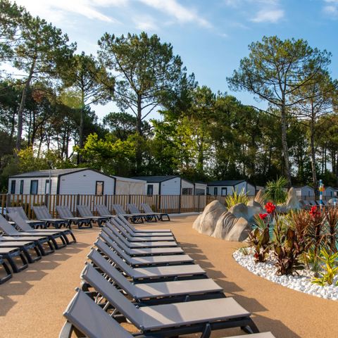 Camping Club Navarrosse Plage 4* - MS VACANCES - Landes - Image N°3
