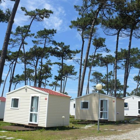 Mobile home 2 persons - DOMINO without kitchen and bathroom