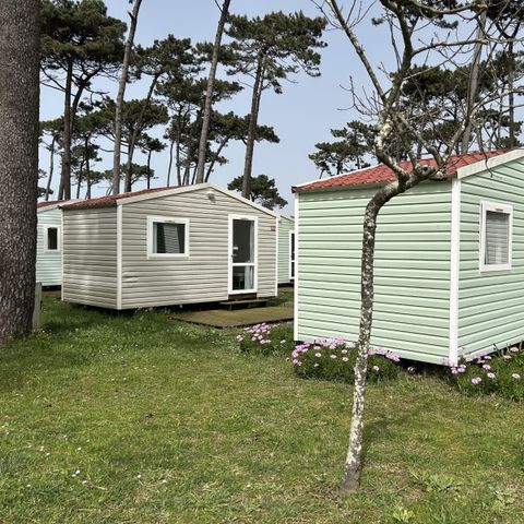 Mobile home 2 persons - DOMINO without kitchen and bathroom
