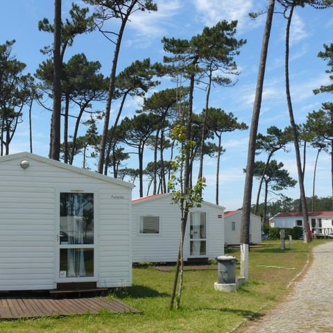 Mobile home 2 persons - DOMINO without kitchen and bathroom