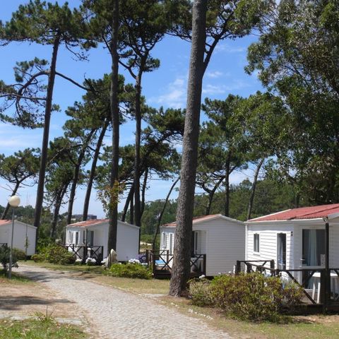MOBILE HOME 5 people - NEPTUNO, 2 bedrooms