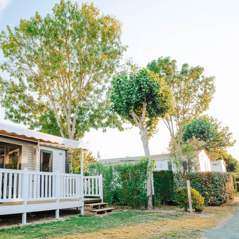 Mobile home 6 persons - Sunday - SUNELIA - COMFORT - PLUS 3-bedroom - 35m² - Covered terrace