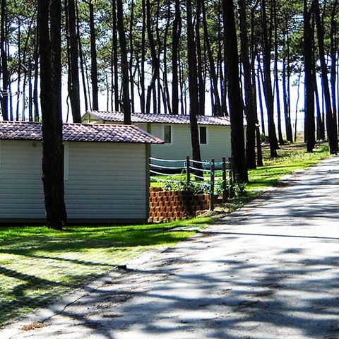 Bungalow 2 persons - ATLANTICO