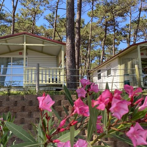 Bungalow 2 persons - ATLANTICO