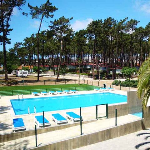 Camping Valado - Cental Portugal  - Image N°2