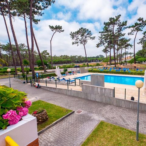 Camping Valado - Cental Portugal  - Image N°6