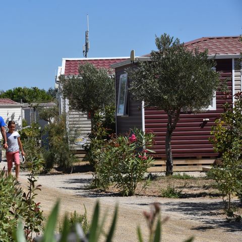 MOBILE HOME 6 people - CLASSIC 3 bedrooms - D - non air-conditioned