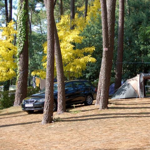 Pitch - Comfort package with 10A electricity