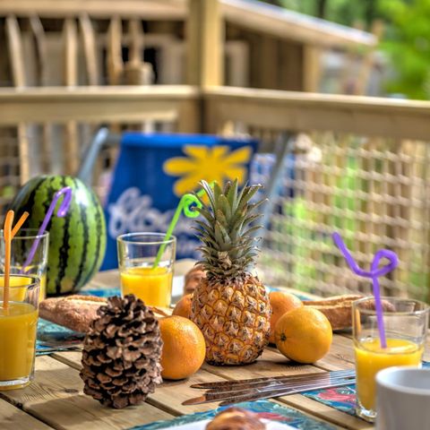 LODGE 5 people - Cosyflower 2bed -TV-laundry-covered terrace-28m² | COMFORT