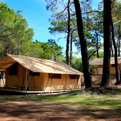 CANVAS AND WOOD TENT 4 people - Canvas & wood tent, without sanitary facilities