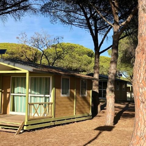 CHALET 5 people - Basik