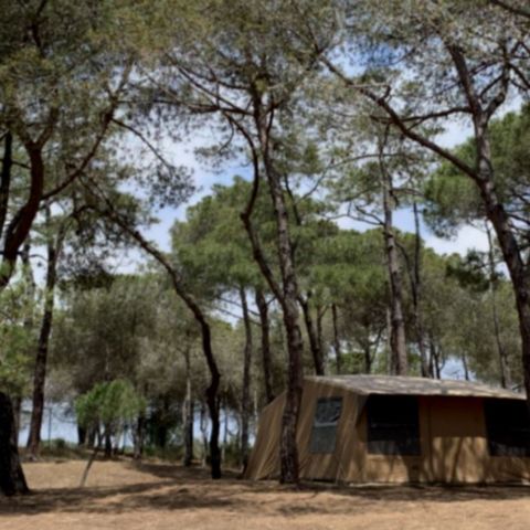 Tent 4 persons - Escapade tent (without sanitary facilities)