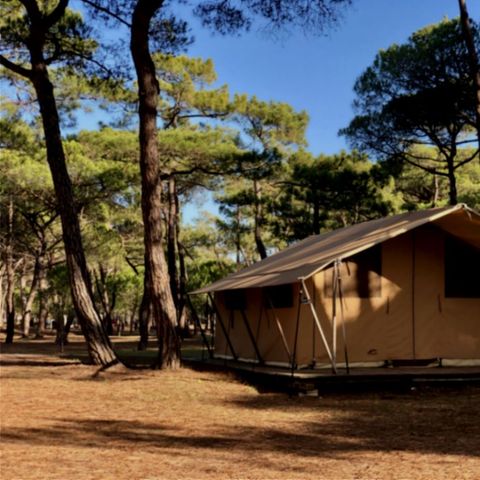 CANVAS AND WOOD TENT 4 people - Canvas & wood tent, without sanitary facilities