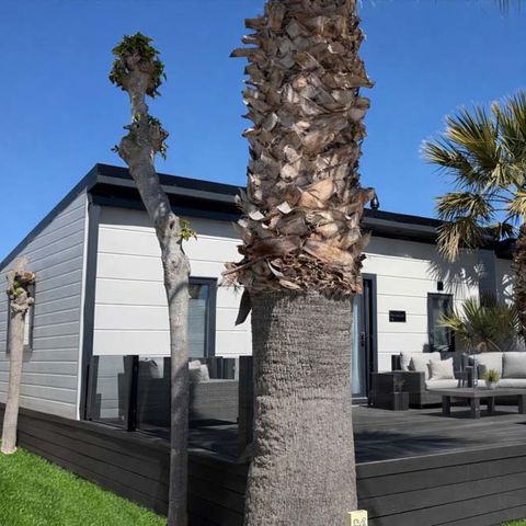 MOBILE HOME 4 people - PLATINUM MOBILHOME