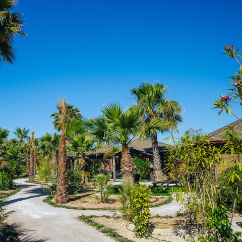 Camping Alannia Costa Blanca - Alicante - Image N°3