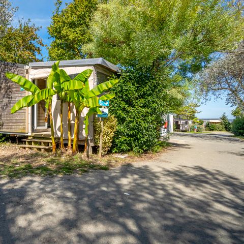 MOBILE HOME 2 people - Mobile-home 1 Bedroom Comfort 2 People