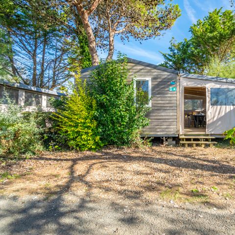 Mobile home 4 persons - COMFORT - TV