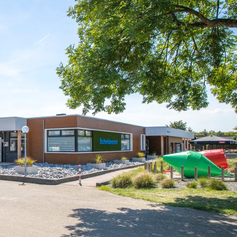 Camping Scheldeoord - Camping Borsele - Image N°3