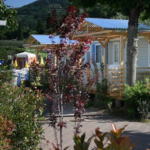 Mobile home 5 persons - ALBATROS