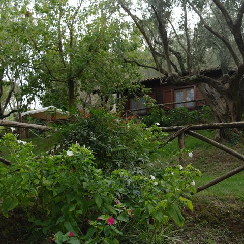 CHALET 2 people - Chalet