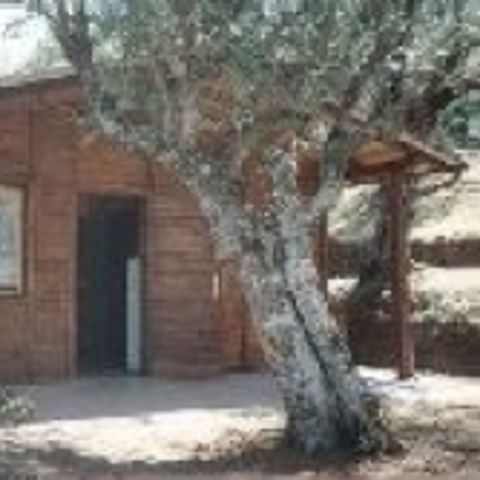 CHALET 2 people - Chalet