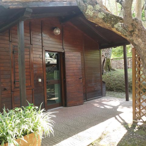 CHALET 4 people - CHALET 4 people