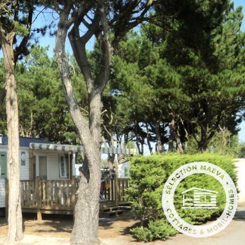 MOBILE HOME 6 people - Passion