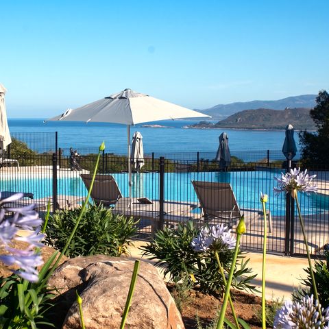Camping Lacasa - Southern Corsica - Image N°4