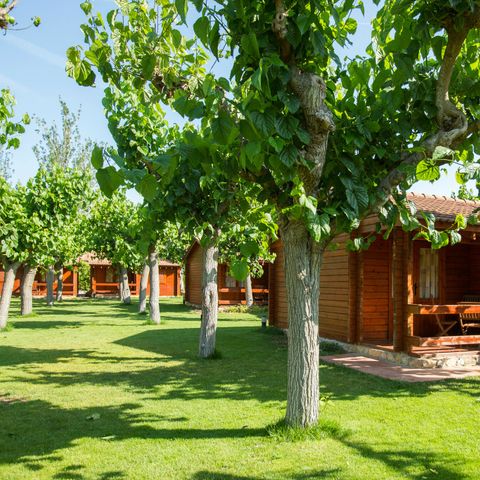 BUNGALOW 5 people - Mestral