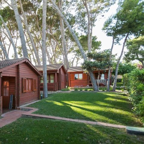 BUNGALOW 5 people - Bungalow for 4/5 people (approx. 36 m²)