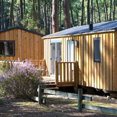MOBILE HOME 6 people - COTTAGE PREMIUM - Les Genêts | 4-6 pers.