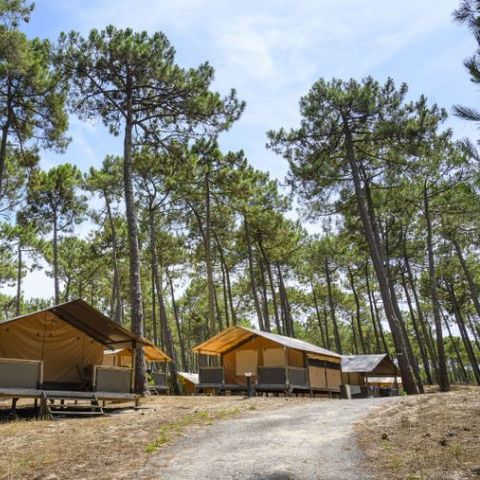 CANVAS AND WOOD TENT 5 people - Lodge Confort 4-5 people - Canvas & Wood - 30 m² - 2 bedrooms - Electricity - Bathroom