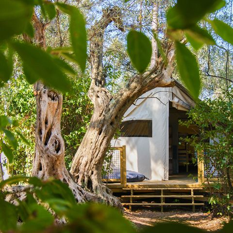 LODGE 5 people - Lodge CANNELLE 21m² (2 bedrooms)