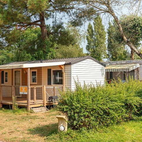 MOBILE HOME 6 people - Mobile-home | Comfort | 3 Bedrooms | 6 Pers. | Raised terrace