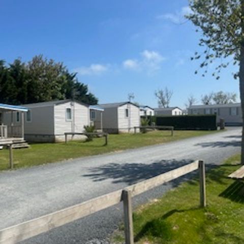 MOBILE HOME 6 people - Mobile-home 6 Confort Plus - 31m² - 3 bedrooms + semi-covered terrace