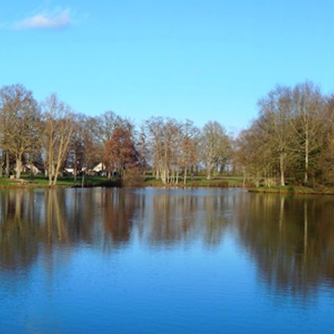 Camping du Mûrier - Camping Mayenne  - Image N°5