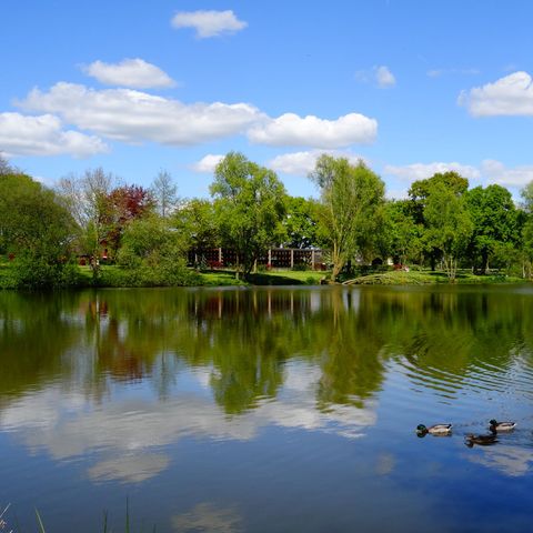 Camping du Mûrier - Camping Mayenne  - Image N°6