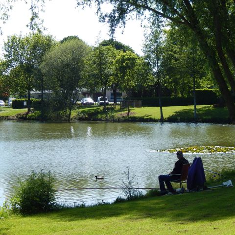 Camping du Mûrier - Camping Mayenne  - Image N°3
